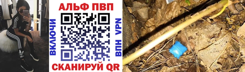 Купить  Грязовец  A-PVP крисы CK 