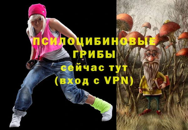 дживик Богданович