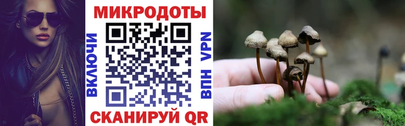 Галлюциногенные грибы Magic Shrooms  Купить  Грязовец 